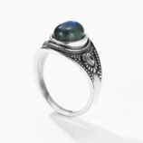 未标题_全景图1