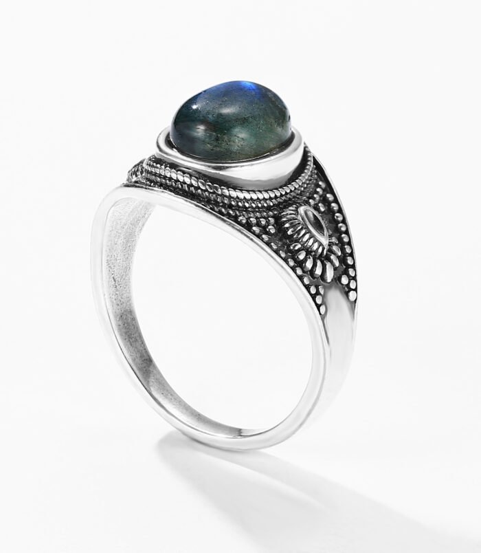 未标题_全景图1