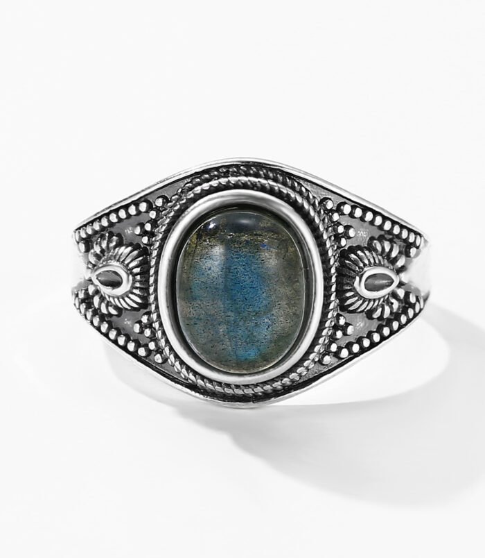 未标题_全景图2