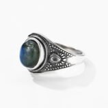 未标题_全景图4