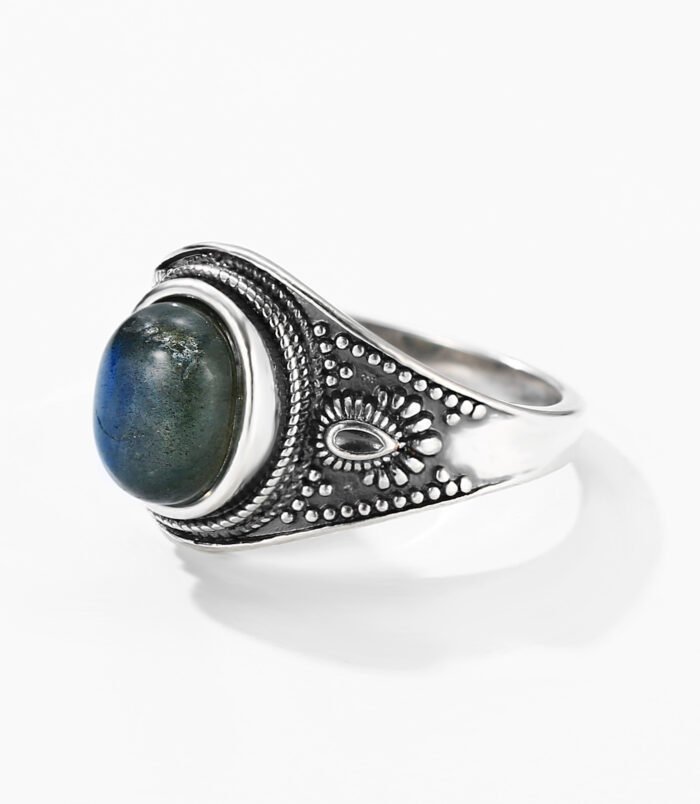 未标题_全景图4